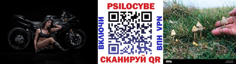 Галлюциногенные грибы ЛСД как найти Лабинск