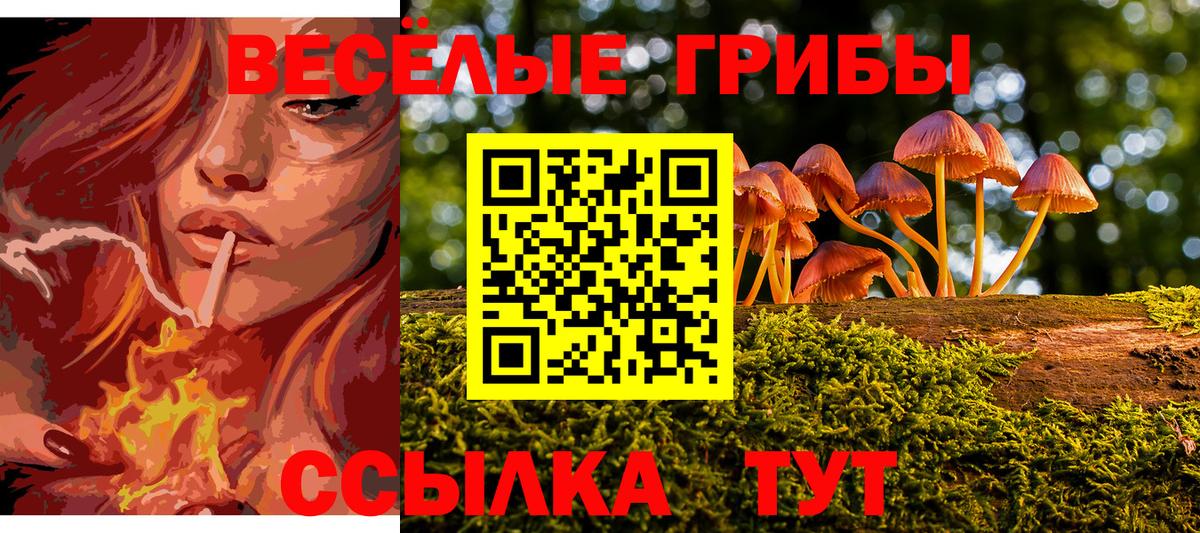 Галлюциногенные грибы ЛСД Лабинск