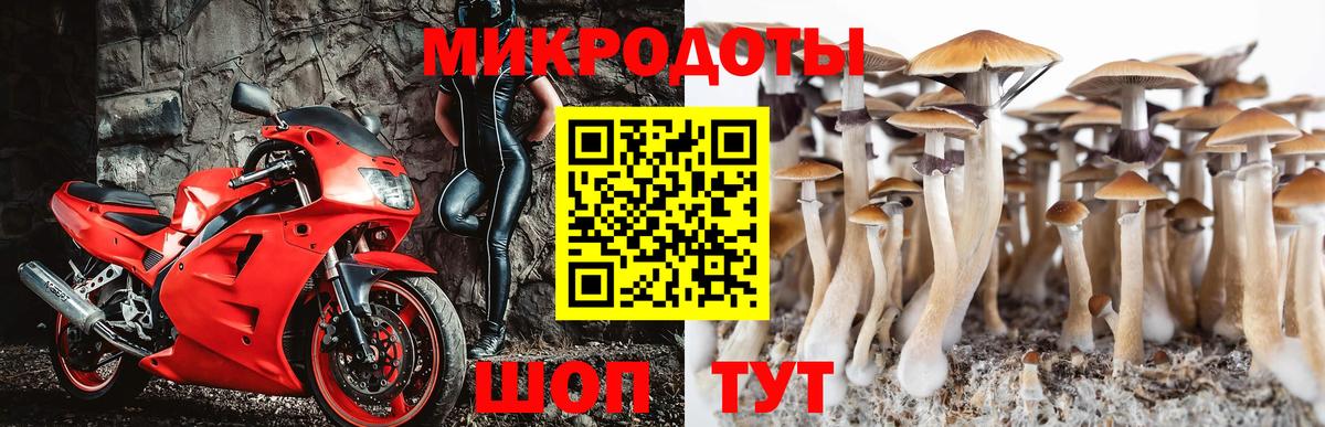 Галлюциногенные грибы мухоморы  Вход с VPN  Псилоцибиновые грибы Psilocybe  Лабинск 